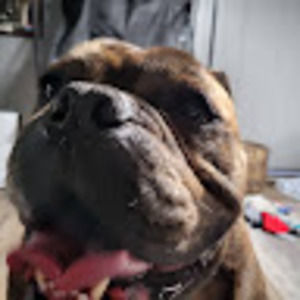 Meet your Posher, Marty